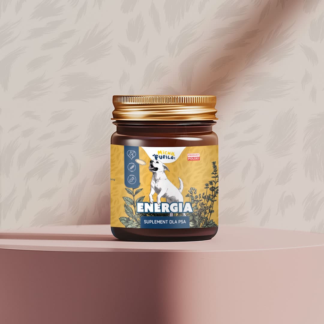 Energia - zdjęcie 1