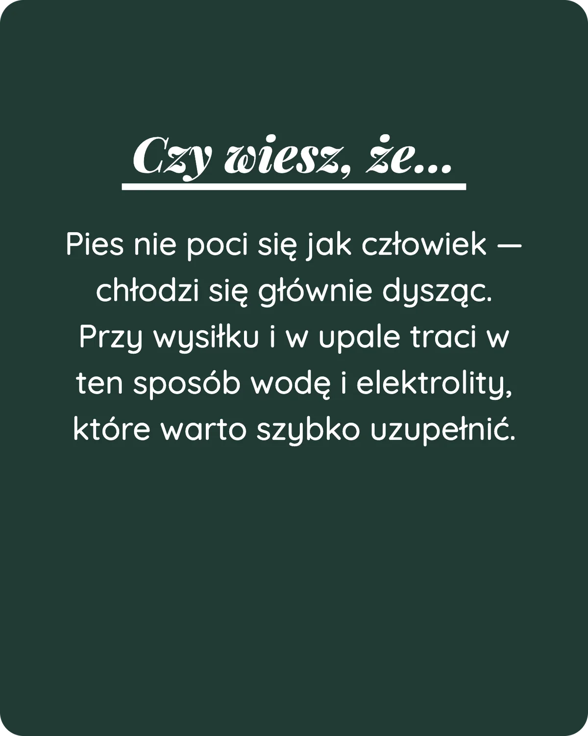 Suplement Regeneracja × Artur Szpilka - zdjęcie 3