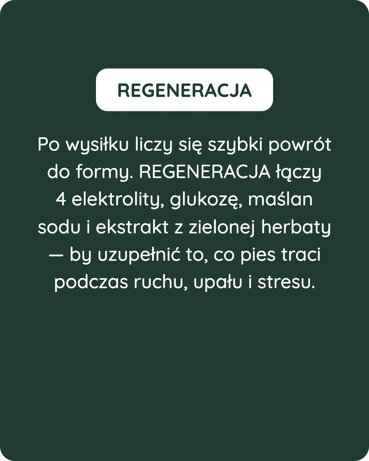 Suplement Regeneracja × Artur Szpilka - zdjęcie 6