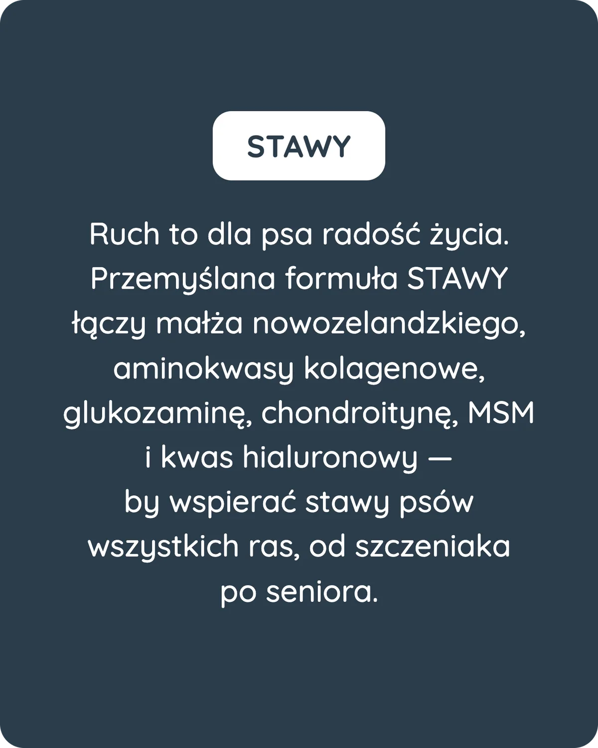 Suplement Stawy × Artur Szpilka - zdjęcie 6