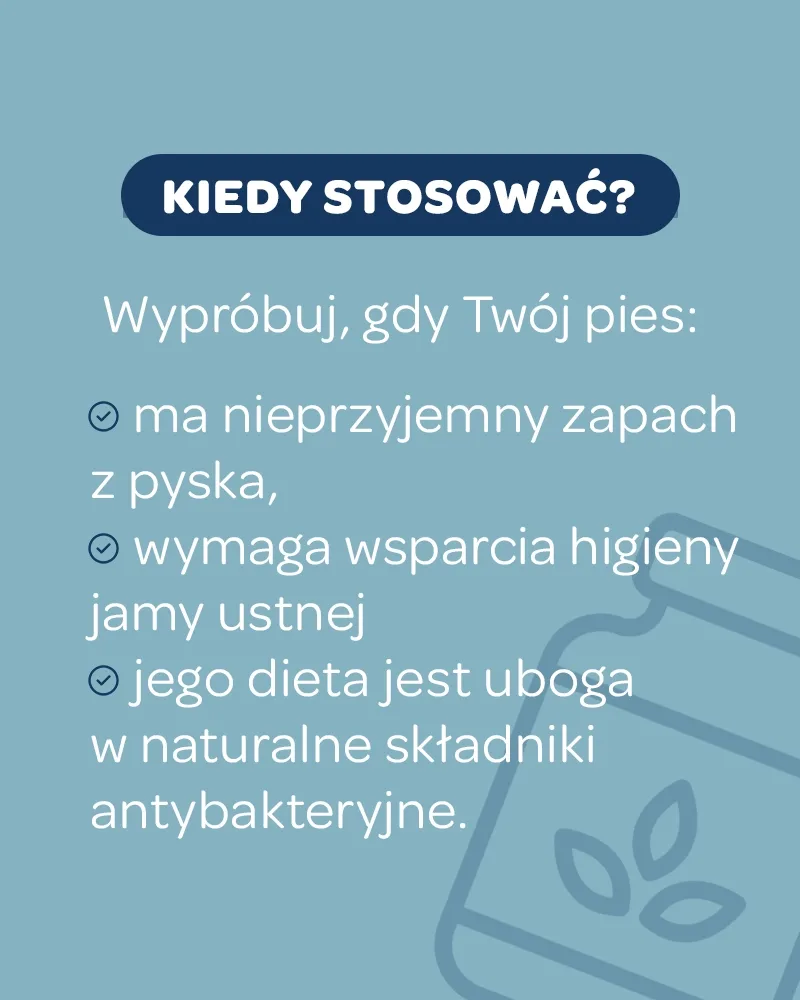 Świeży Oddech dla psa - zdjęcie 6