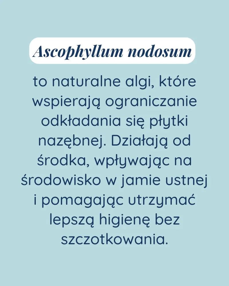 Świeży Oddech dla kota - zdjęcie 5