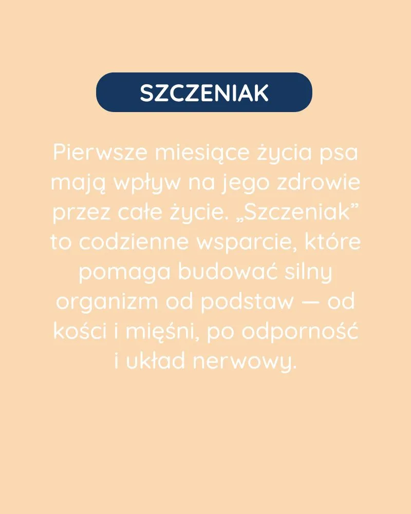 Szczeniak dla psa - zdjęcie 2