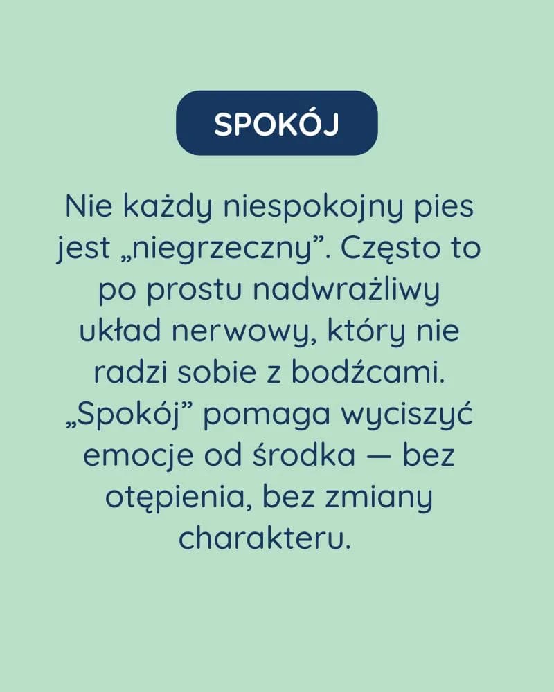 Spokój dla psa - zdjęcie 2