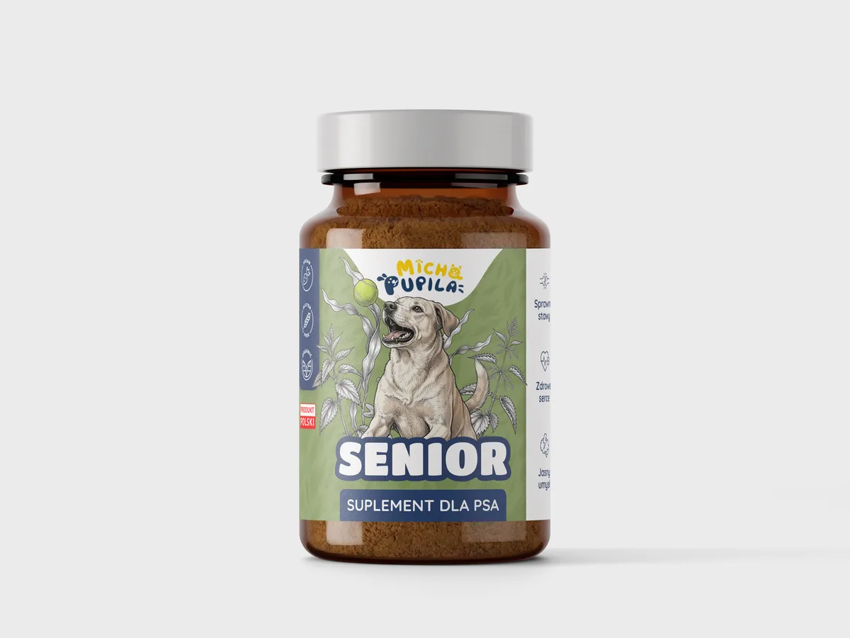 Senior dla psa - zdjęcie 1