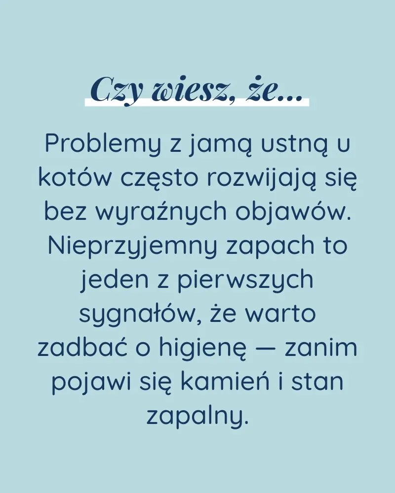 Świeży Oddech dla kota - zdjęcie 6