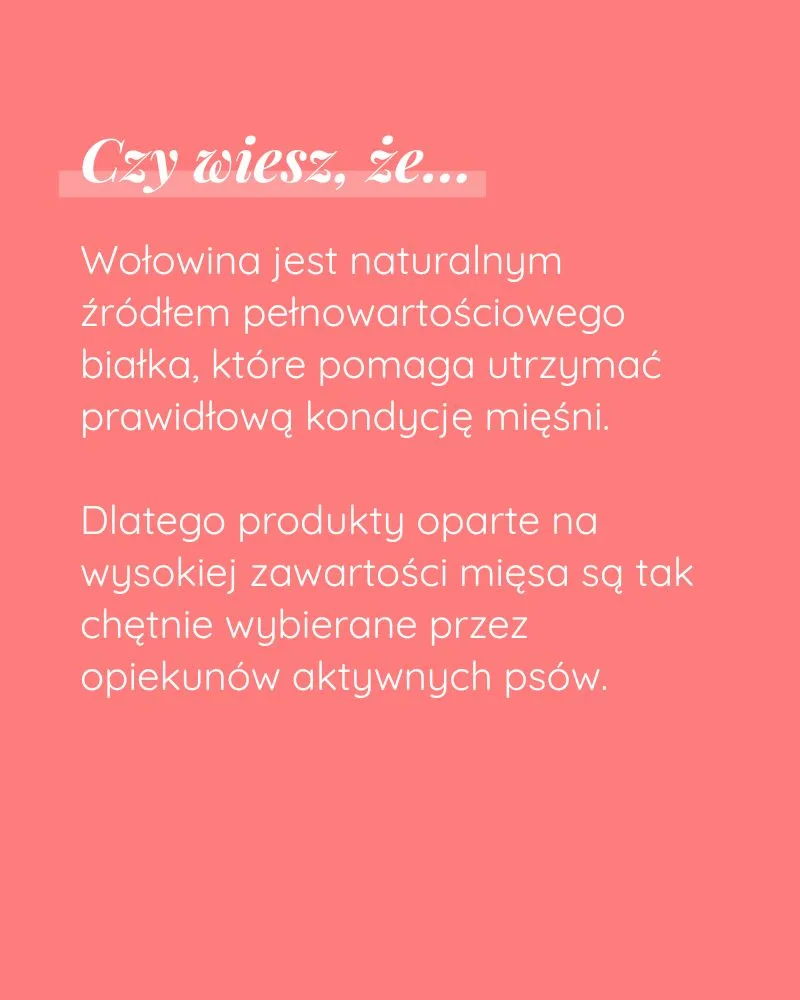 Psisuszone z Wołowiny - zdjęcie 6