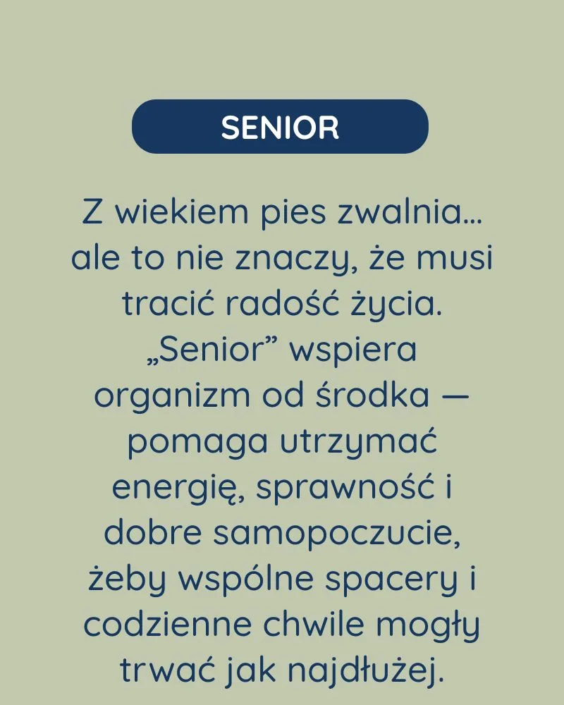 Senior dla psa - zdjęcie 2
