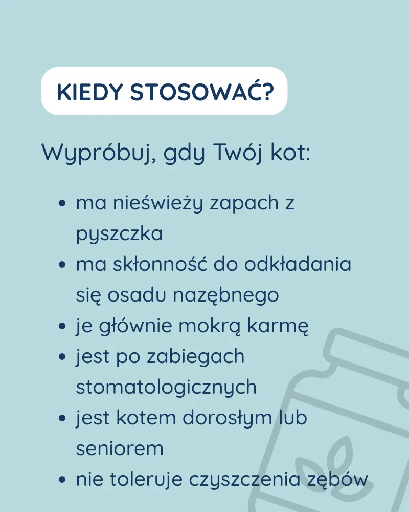 Świeży Oddech dla kota - zdjęcie 2