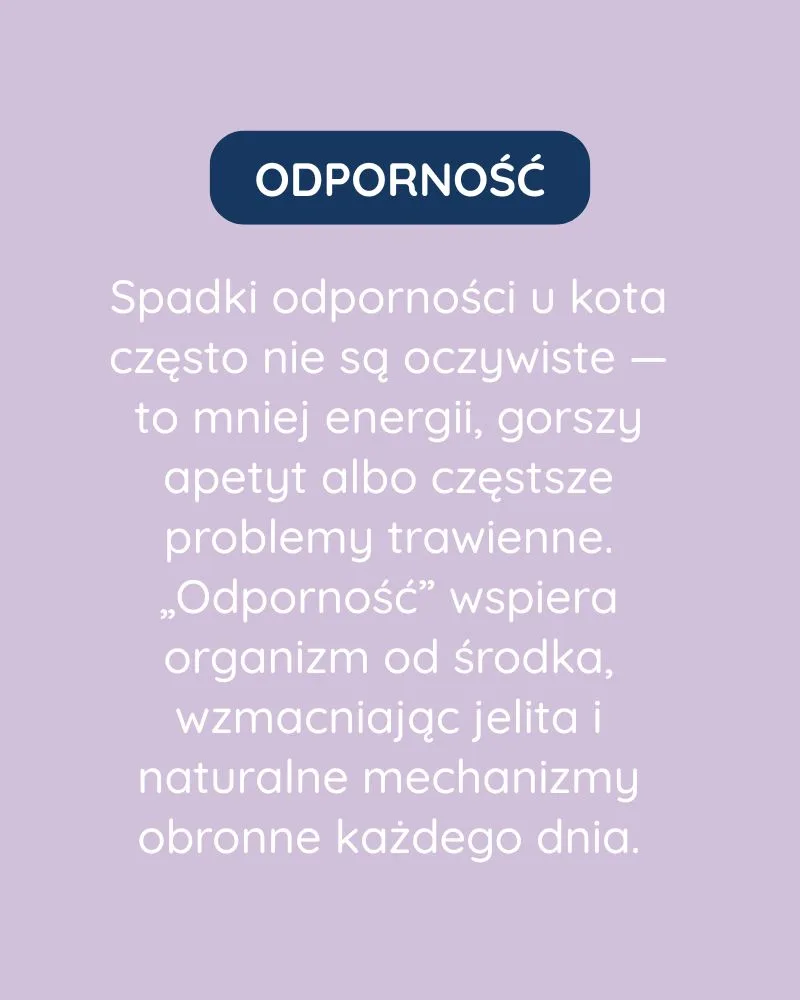 Odporność dla kota - zdjęcie 3