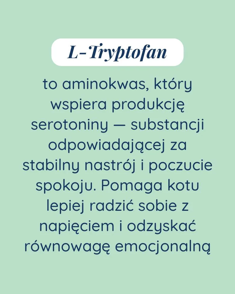 Spokój dla kota - zdjęcie 5