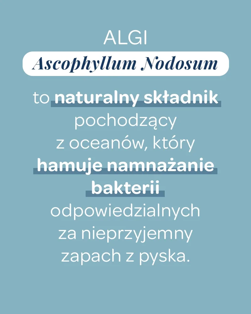 Świeży Oddech dla psa - zdjęcie 3