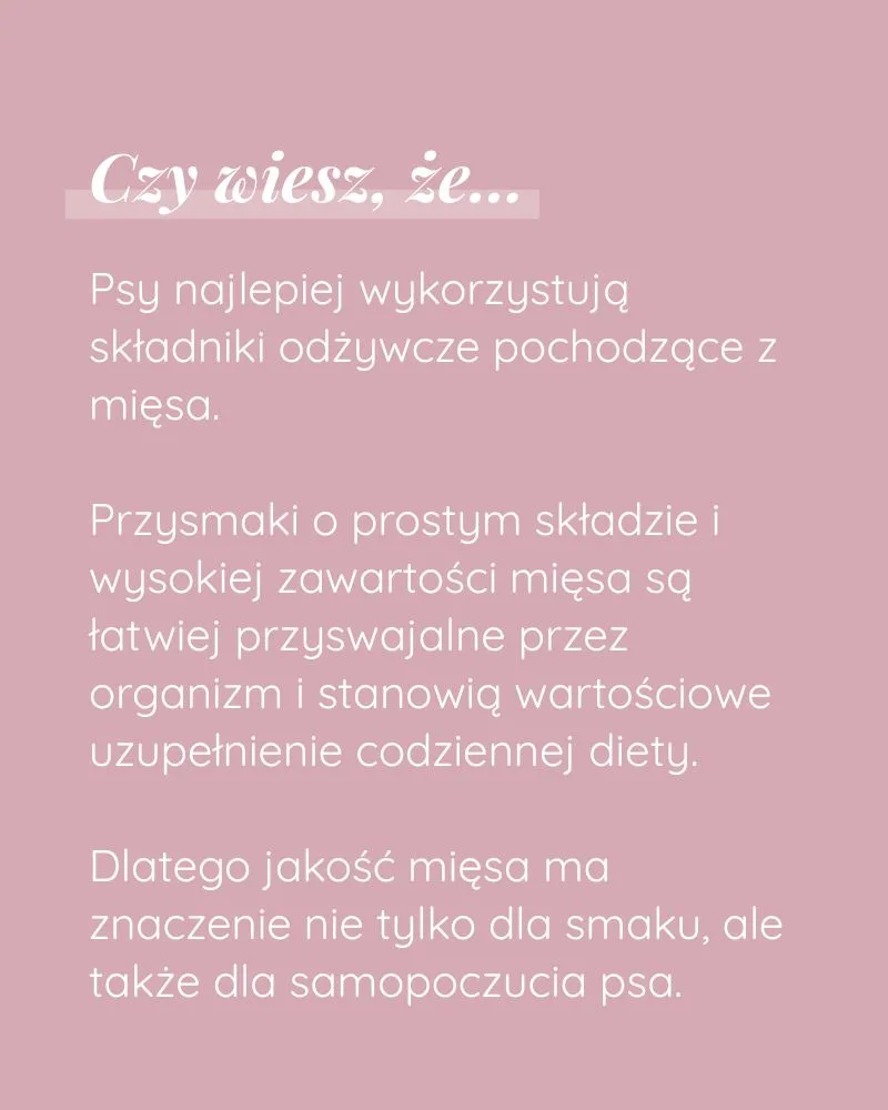 Psisuszone z Kaczki - zdjęcie 6