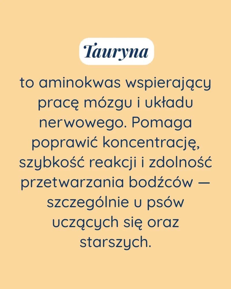 Bystry Umysł dla psa - zdjęcie 3