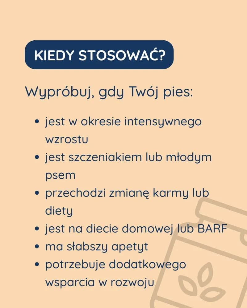 Szczeniak dla psa - zdjęcie 6