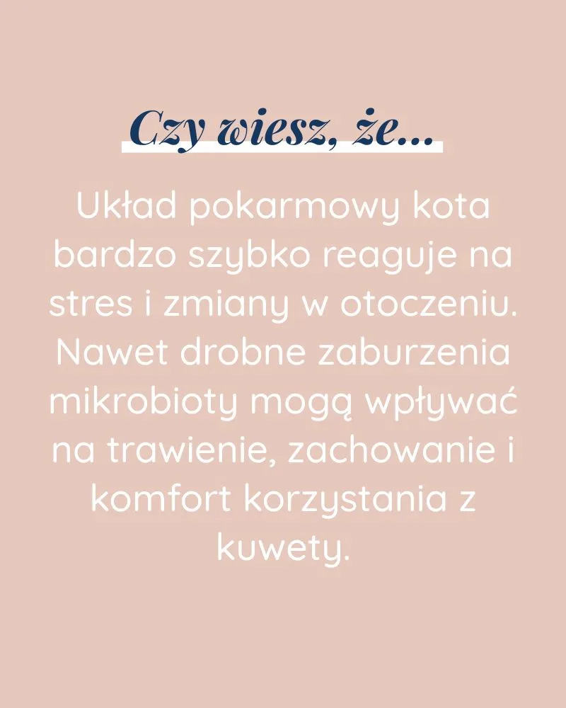 Zdrowie Jelit dla kota - zdjęcie 6