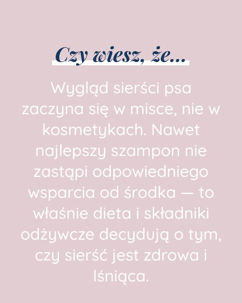 Piękna Sierść dla psa - zdjęcie 5