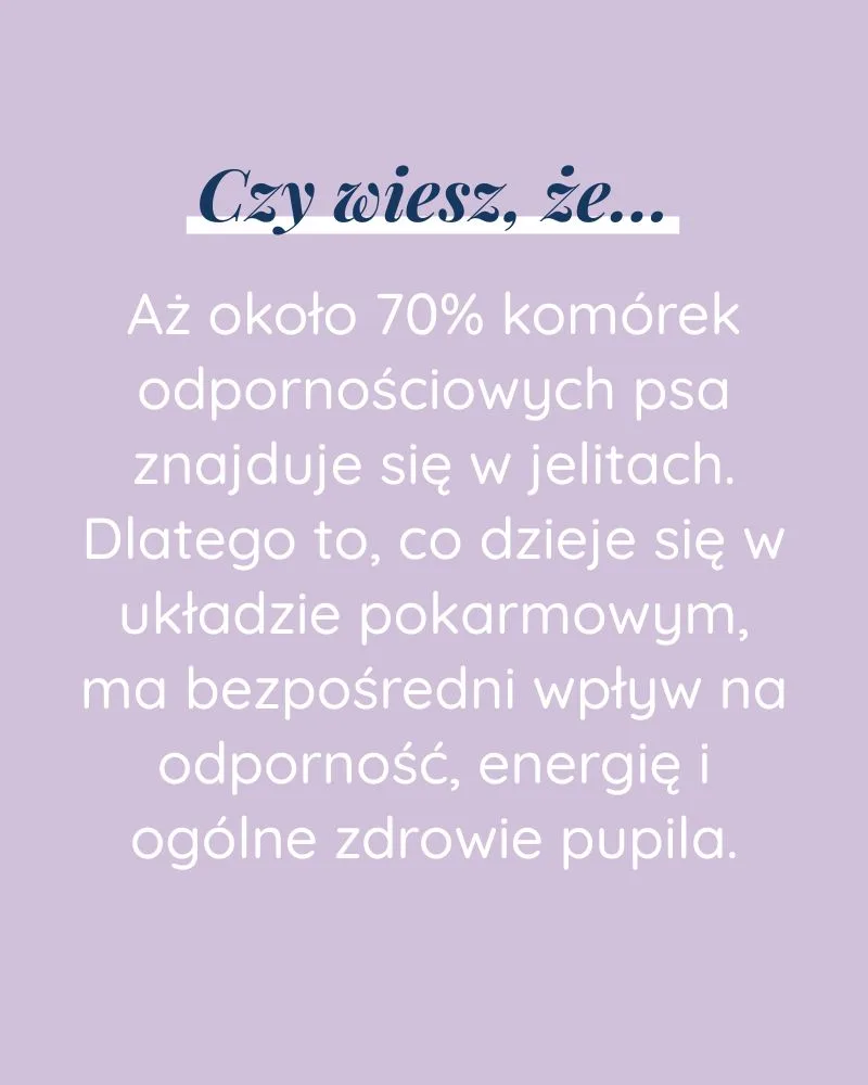 Odporność dla psa - zdjęcie 5