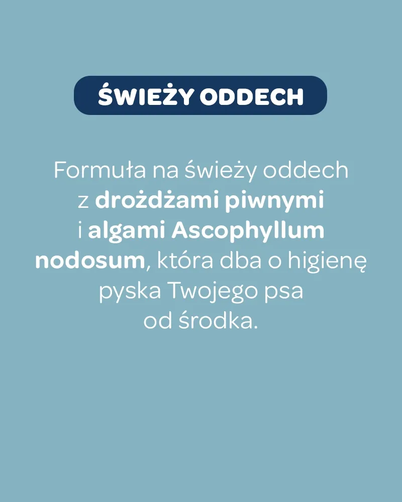 Świeży Oddech dla psa - zdjęcie 2