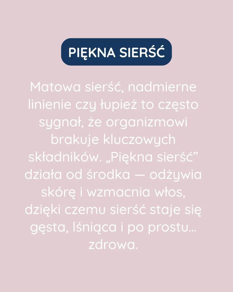 Piękna Sierść dla psa - zdjęcie 2