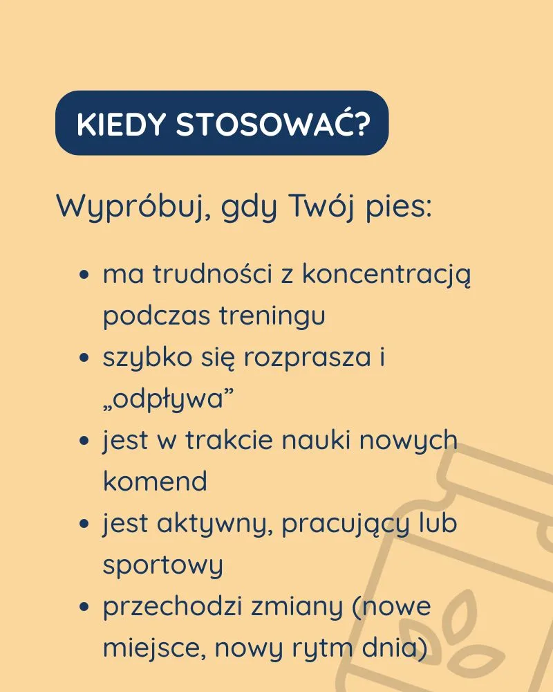 Bystry Umysł dla psa - zdjęcie 6