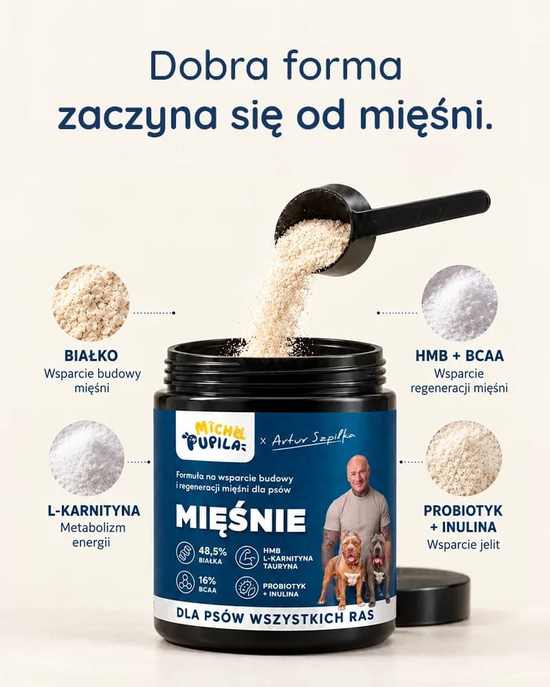 Suplement Mięśnie × Artur Szpilka - zdjęcie 4