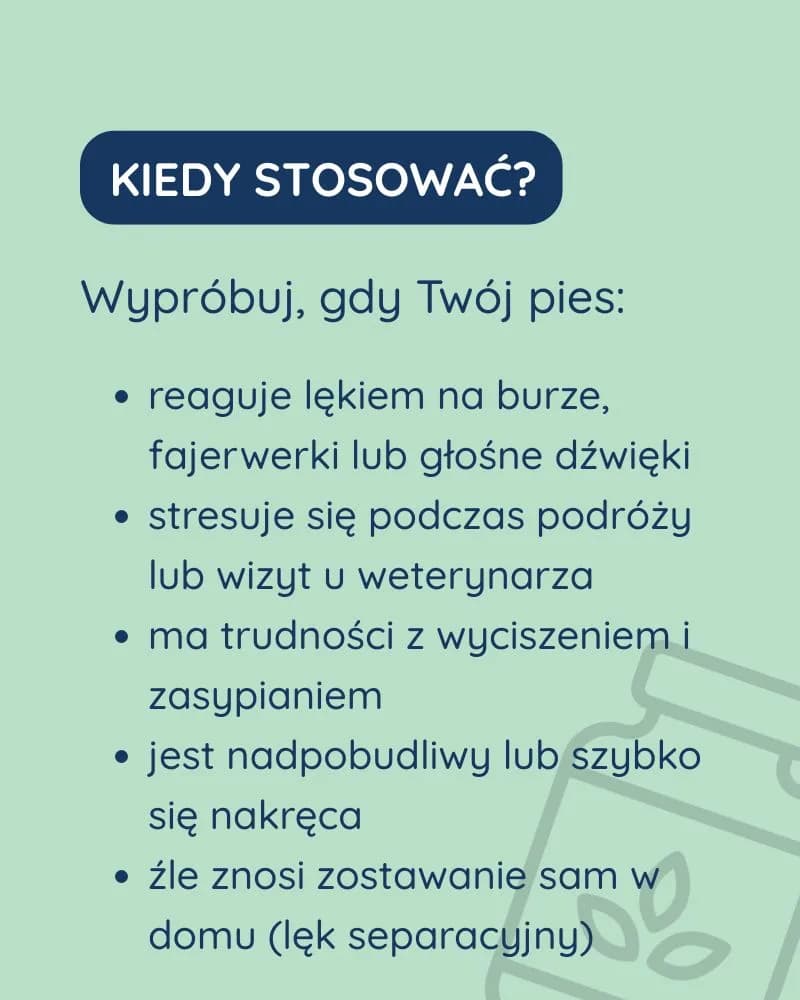 Spokój dla psa - zdjęcie 6