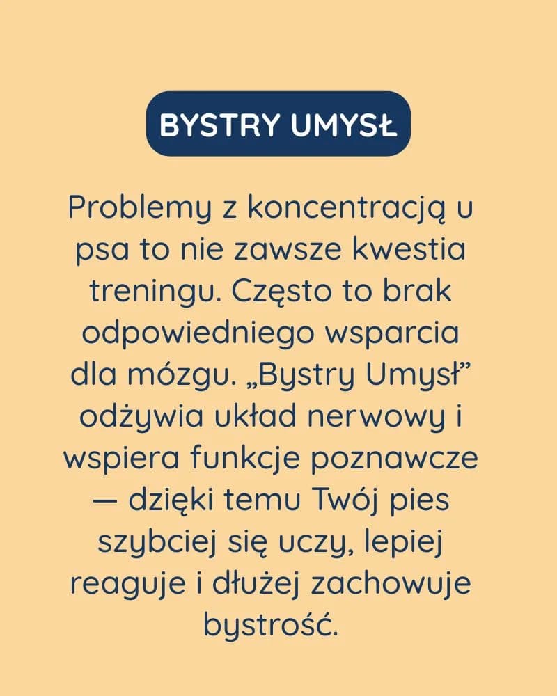 Bystry Umysł dla psa - zdjęcie 2