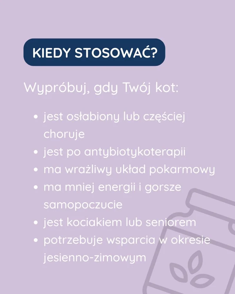 Odporność dla kota - zdjęcie 2