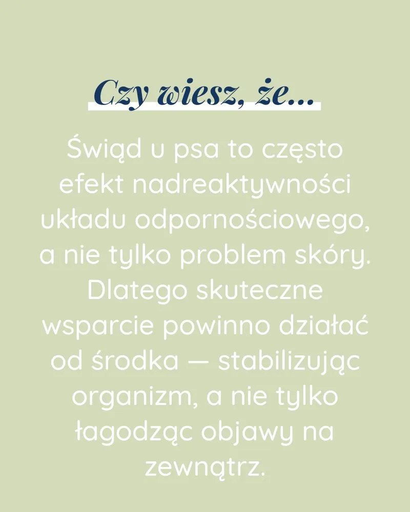 Alergia dla psa - zdjęcie 5