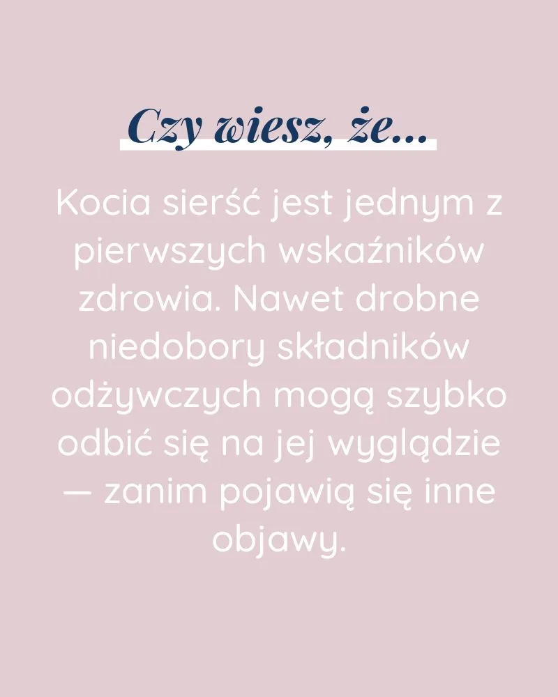 Piękna Sierść dla kota - zdjęcie 6