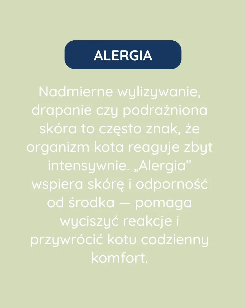 Alergia dla kota - zdjęcie 3