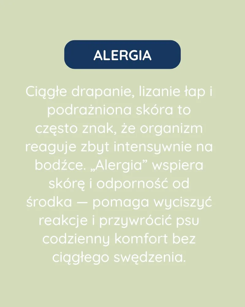 Alergia dla psa - zdjęcie 2