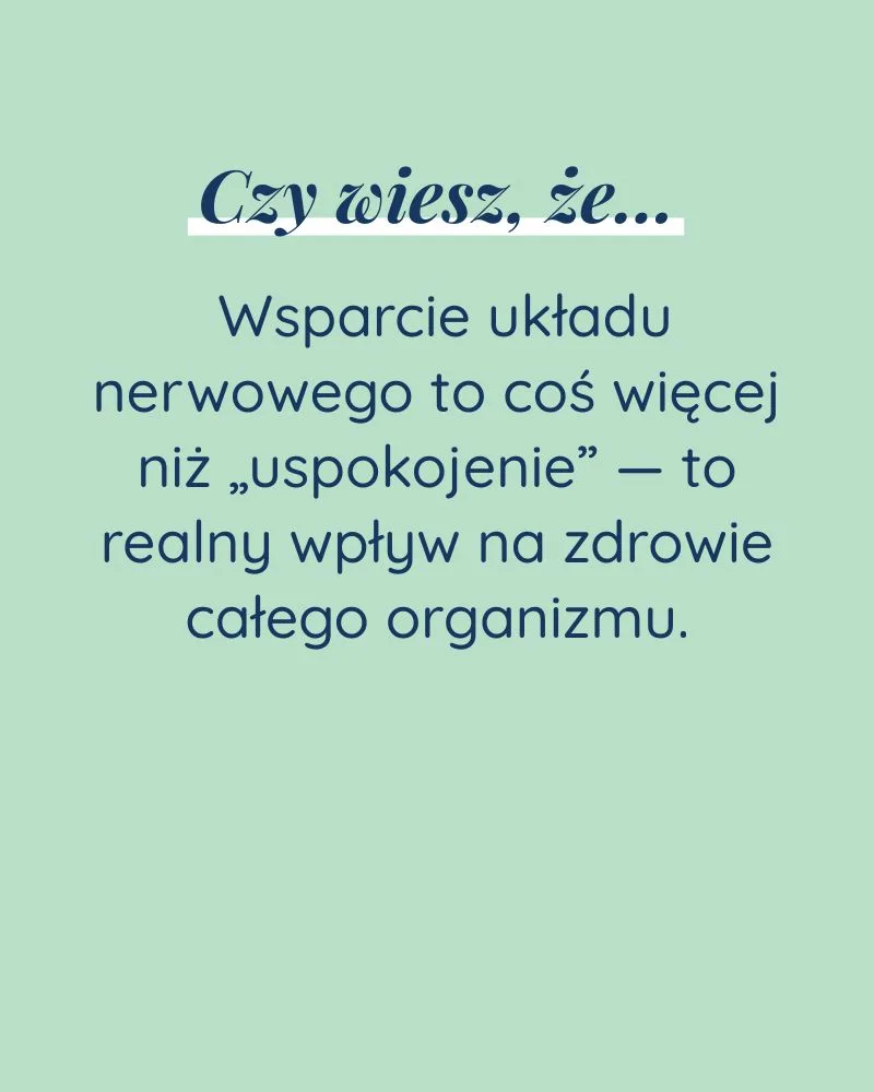 Spokój dla psa - zdjęcie 5