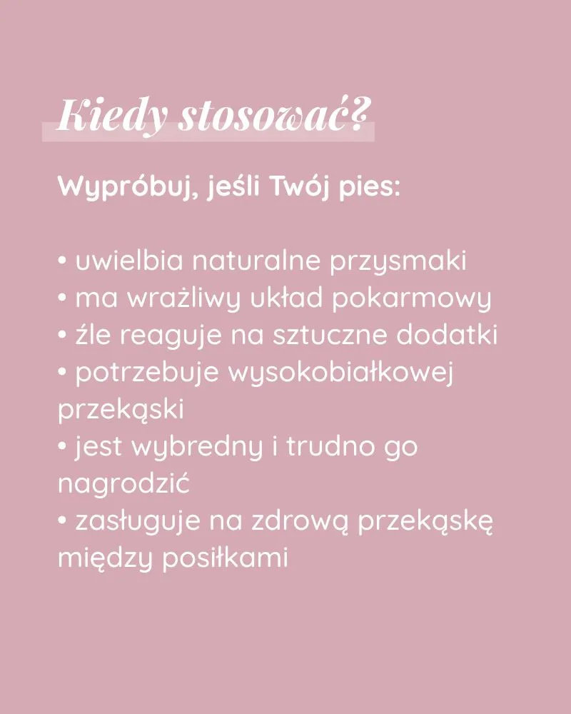 Psisuszone z Kaczki - zdjęcie 3