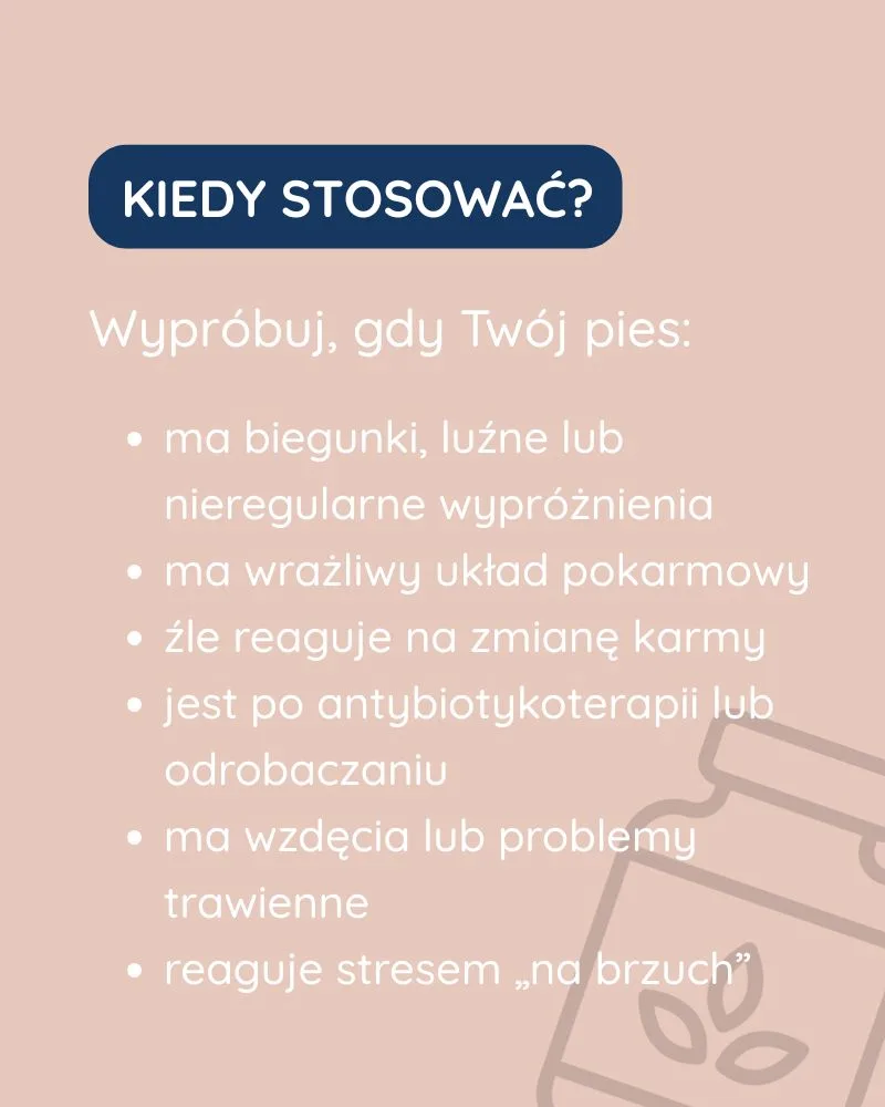 Zdrowie Jelit dla psa - zdjęcie 6
