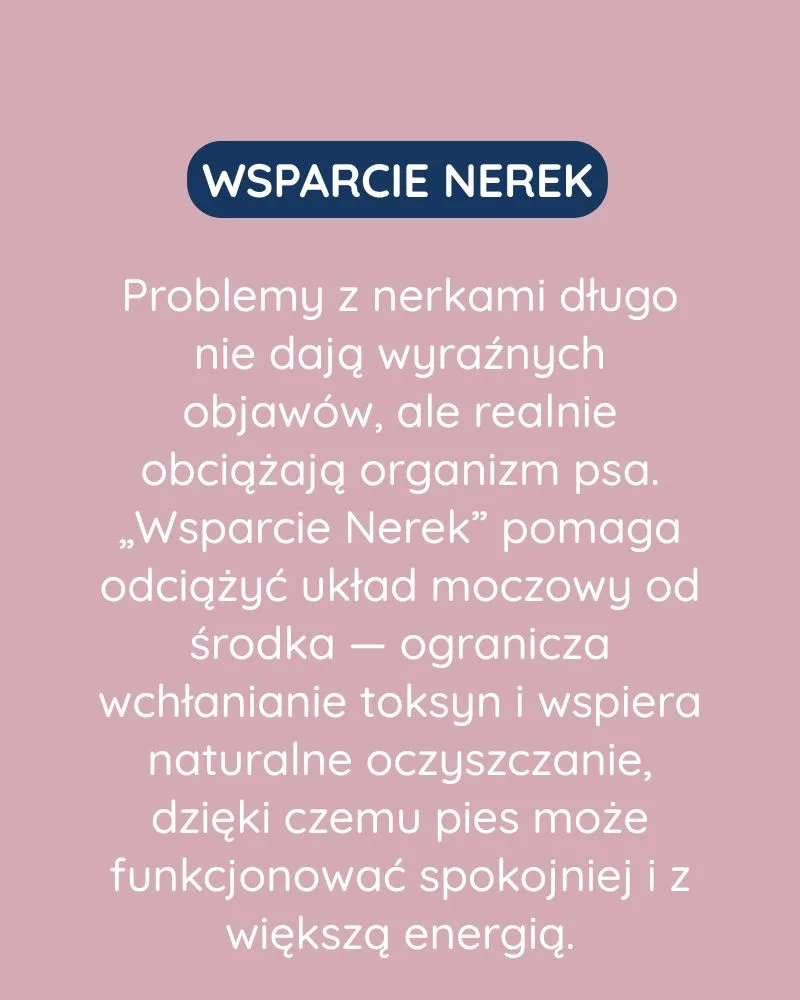 Wsparcie Nerek dla psa - zdjęcie 2