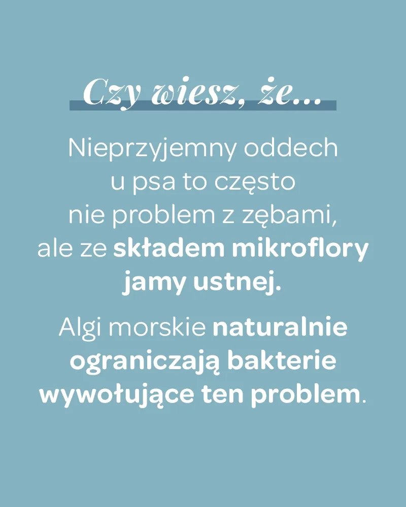 Świeży Oddech dla psa - zdjęcie 5