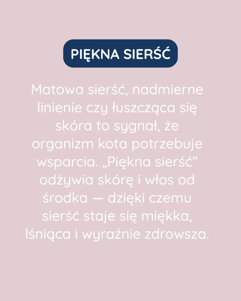 Piękna Sierść dla kota - zdjęcie 3