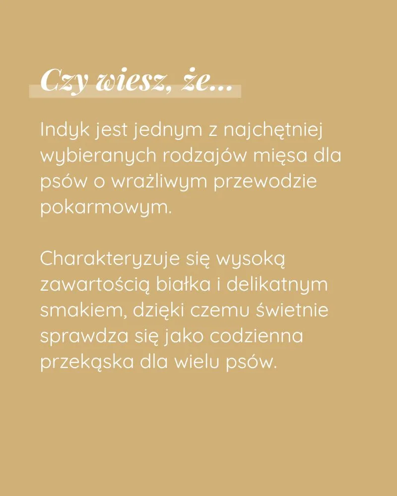 Psisuszone z Indyka - zdjęcie 3