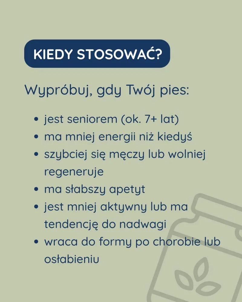 Senior dla psa - zdjęcie 6