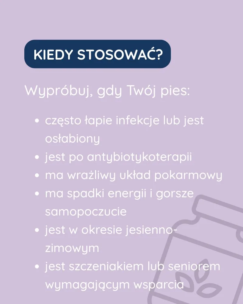 Odporność dla psa - zdjęcie 6