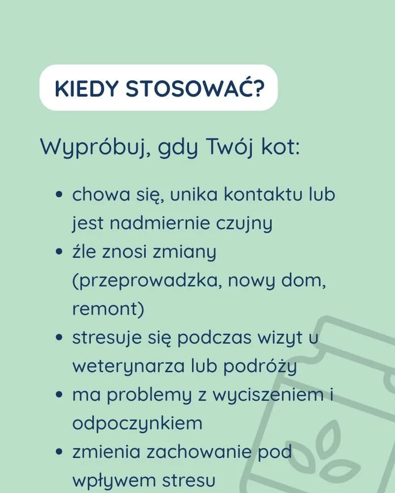 Spokój dla kota - zdjęcie 2