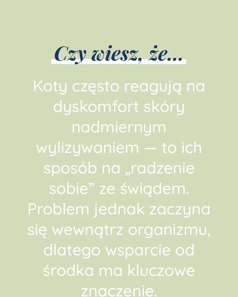 Alergia dla kota - zdjęcie 6