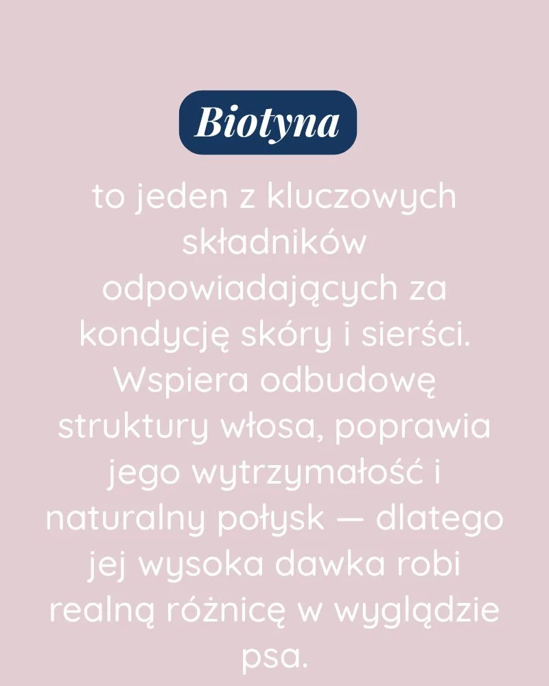 Piękna Sierść dla psa - zdjęcie 3