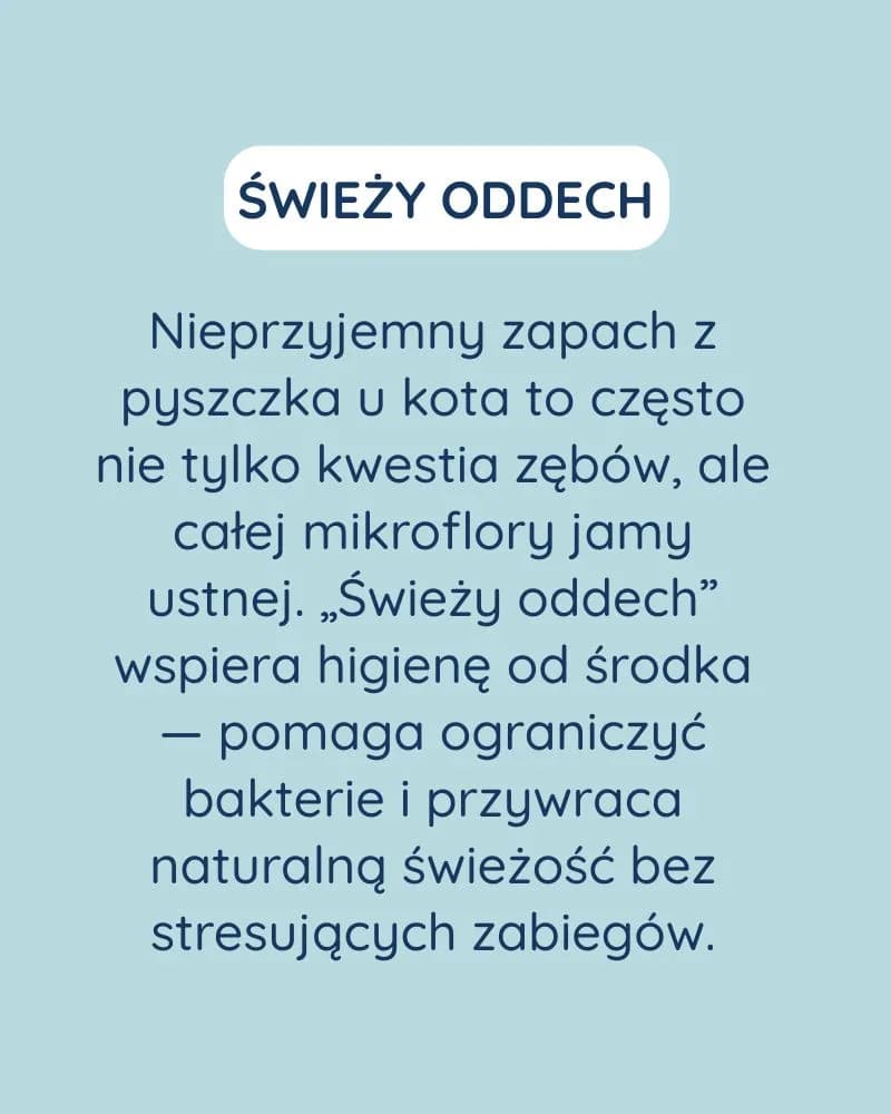 Świeży Oddech dla kota - zdjęcie 3